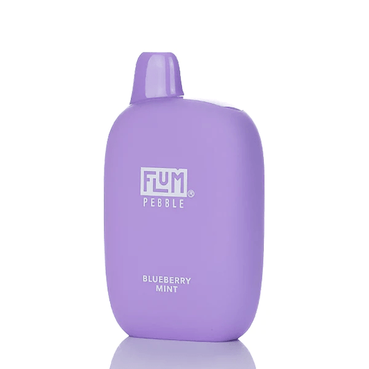 Flum Disposable Vape Blueberry Mint Flum Pebble Disposable Vape (5%, 6000 Puffs)