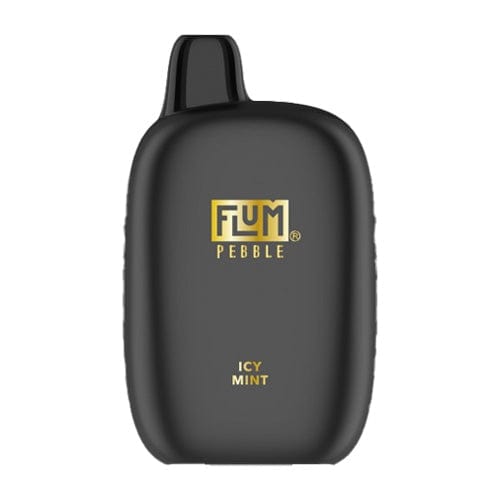 Flum Disposable Vape Icy Mint Flum Pebble Disposable Vape (5%, 6000 Puffs)