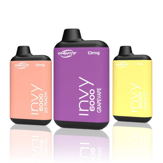 INNEVAPE Disposable Vape Innevape Invy 6000 Disposable Vape (0%, 6000 Puffs)