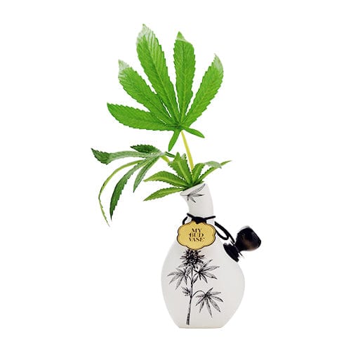 My Bud Vase Alternatives My Bud Vase Love Bud Bong